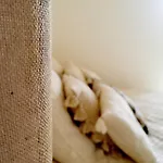 Les Pins Parking Privé Extérieur Couette-café 3*