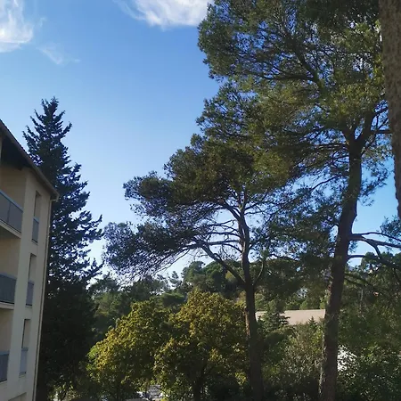 Les Pins Parking Prive Exterieur Lit King Size 180