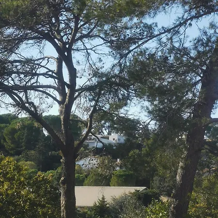 Les Pins Parking Prive Exterieur Lit King Size 180 Nimes