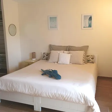 Les Pins Parking Privé Extérieur Nîmes